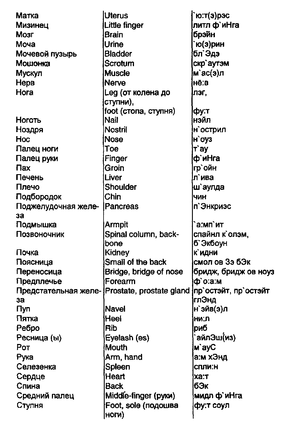 Анатомия человека. Русско-английский разговорник для моряков. Часть 139